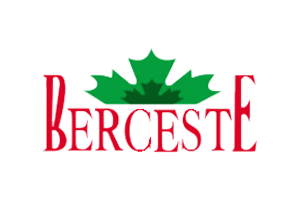 Berceste